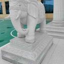 四川 白麻花岗岩动物异形石雕-大象